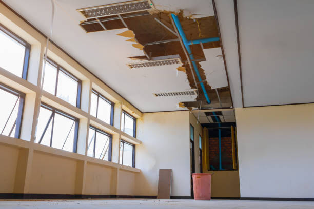 Best Commercial water damage restoration  in Boyne City, MI