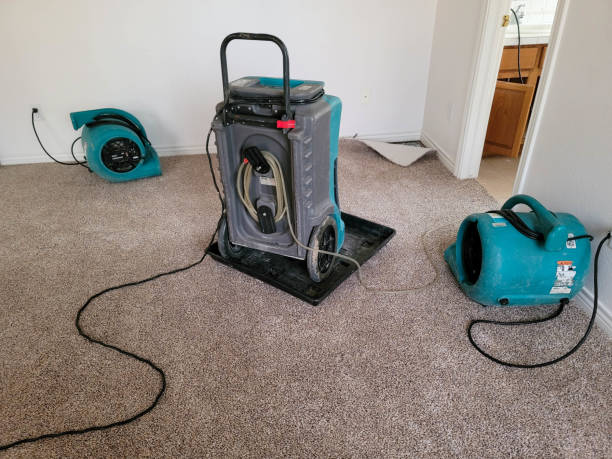 Best Residential water damage restoration  in Boyne City, MI