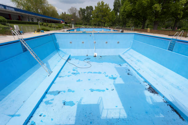 Best Mold removal after water damage  in Boyne City, MI