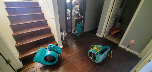 Best Basement water damage restoration  in Boyne City, MI