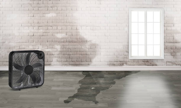 Best Commercial water damage restoration  in Boyne City, MI