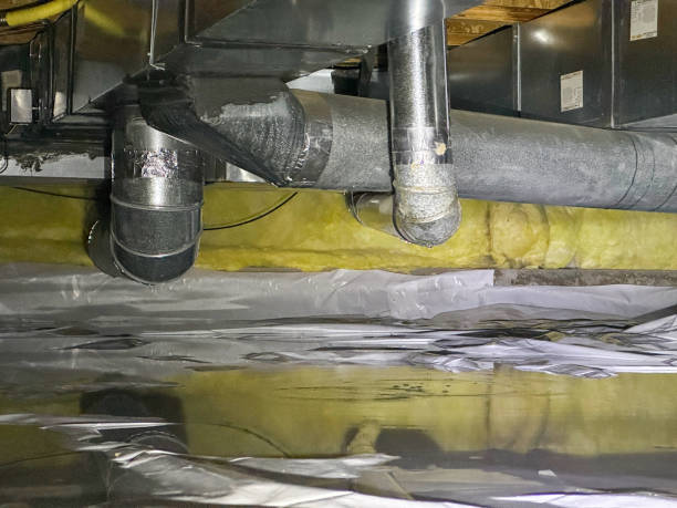 Best Water damage restoration near me  in Boyne City, MI