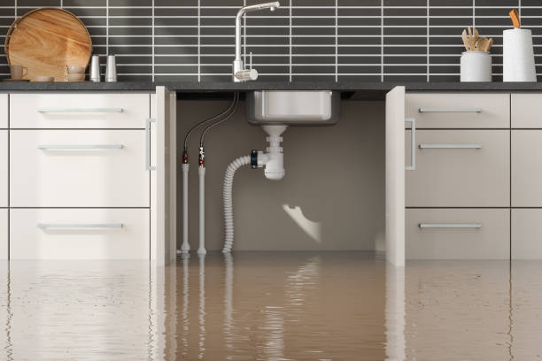 Best Ceiling water damage repair  in Boyne City, MI