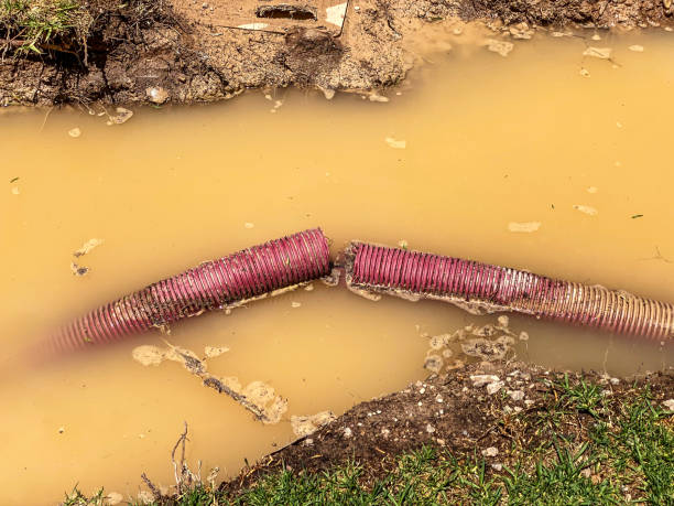 Best Emergency water damage restoration  in Boyne City, MI