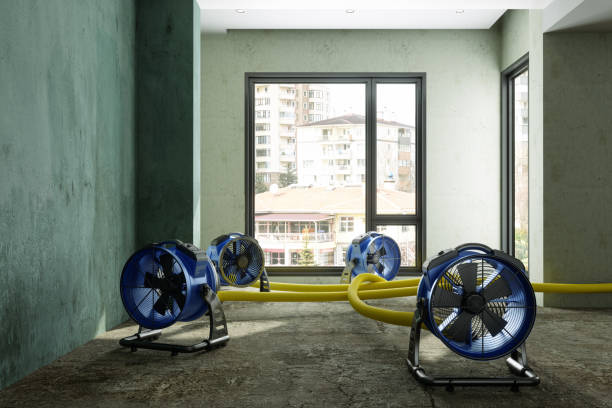 Best Flood restoration services  in Boyne City, MI